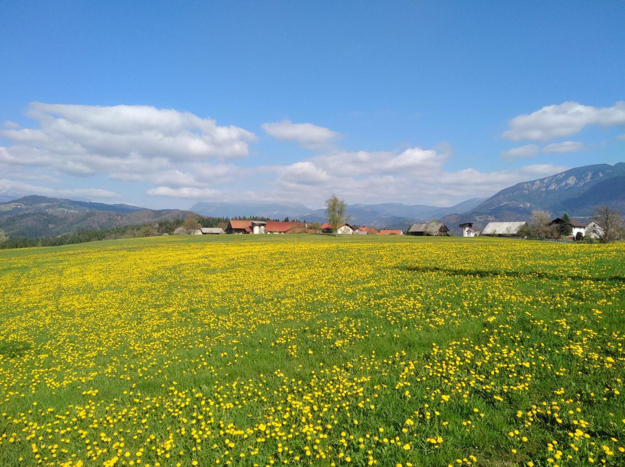 Apartment With Mountain View And Rivers Close By Smartno ob Dreti Εξωτερικό φωτογραφία